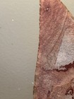 WOW!! Large High Plains knife blade, Colorful quarztite, western Nebraska RARE! — photo 5