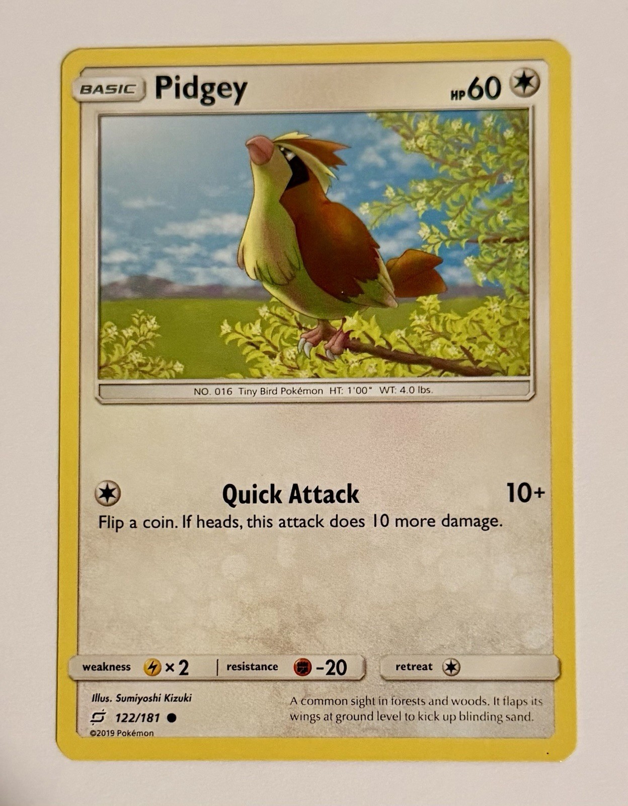 Pidgey 122/181 Common Team Up Pokemon NM/LP
