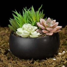 Mini Artificial Succulent in Pot, Fake Plant Arrangement in Ceramic Planter Bowl
