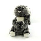 Bild 9 von 9