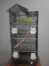 39 Inch Jaula Para Pajaros Periquitos Aves Peque  os Con 4 Comederos y Juguetes