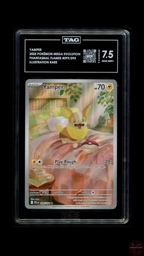 Yamper graded TAG 7.5 for sale on eBay