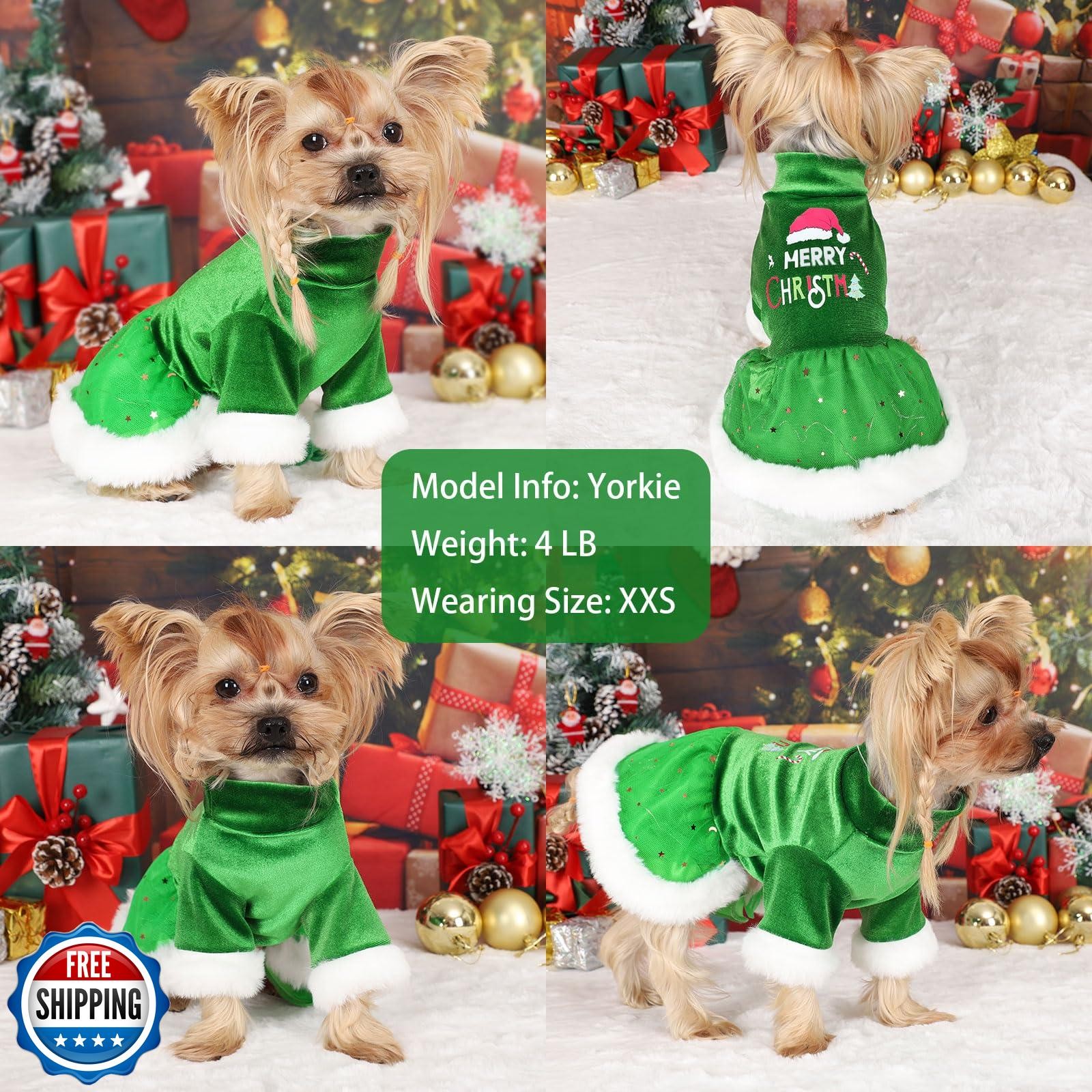 Sebaoyu Dog Christmas Dress, Sweater Female LED Light Winter for 