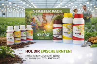 Hy-Pro Ferlitzer - Starter Pack Hydro