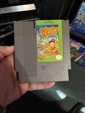 Mystery Quest (Nintendo Entertainment System, 1989)