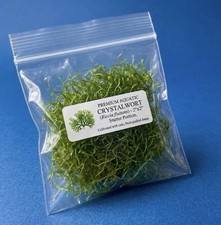 Crystalwort Riccia Fluitans 2x2 Live Aquarium Floating Plant Moss Fish Fry Cover