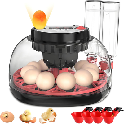 Incubators for Hatching Eggs,12 Egg Incubator with Automatic Egg
