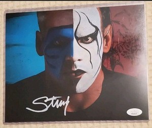 Sting Wrestler Autograph | eBay