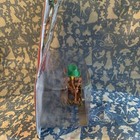 Foto 6 di 12