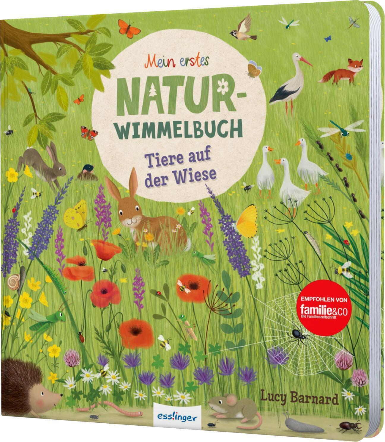 Thumbnail - Katharina Lotz; Lucy Barnard / Mein Erstes Natur-wimmelbuch: Tiere Auf