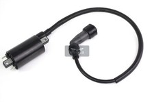 Zündspule für Jinling Jla - 931e 276 ccm 300ccm Jingling Automatik