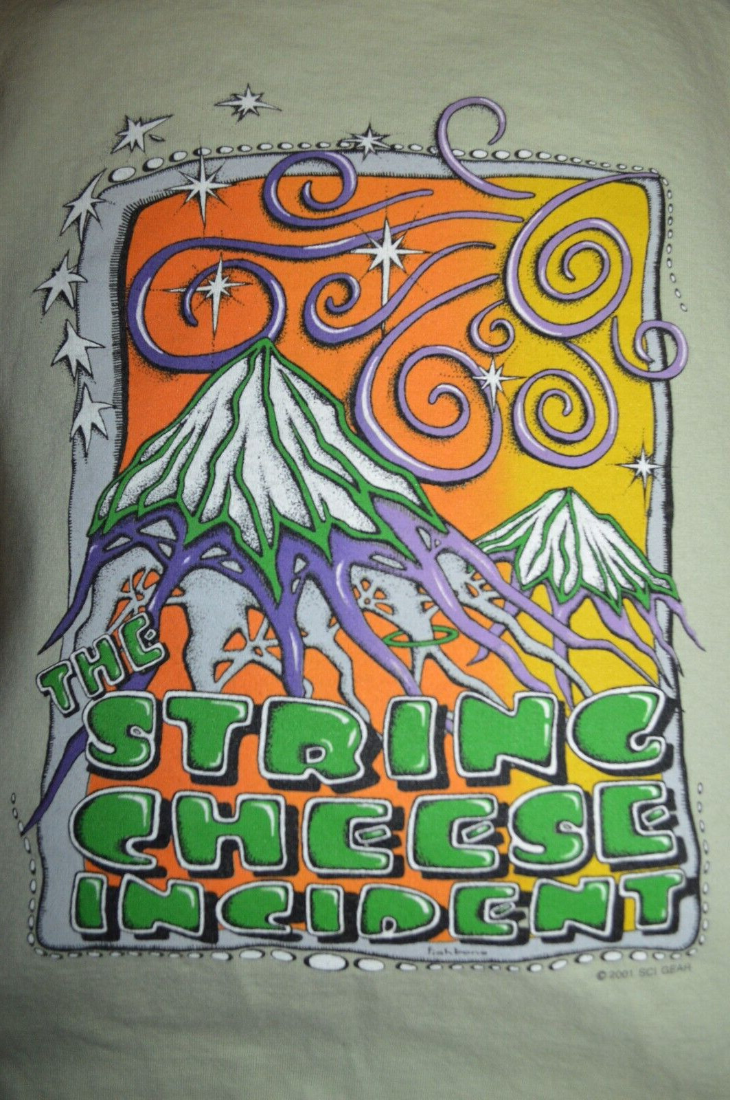 Vintage 2001 T Shirt Jam Band