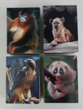 1993 CARDz San Diego Zoo Trading Cards (Pick Your Card)