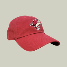 Arizona Coyotes NHL Hockey Ajustable Baseball Hat Cap by American Needle NFL