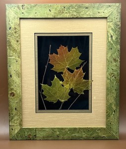 Booker Morey – Leaf Lines Maple Leaf Shadowbox #5/5759 Framed Botanical Skeleton
