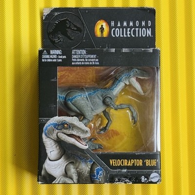 MATTEL　ハモンドコレクション　ブルー The ever-popular Blue is now available in the Hammond