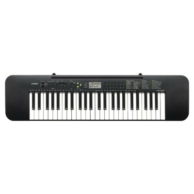 CASIO keyboard electronic piano CTK240 49 keyboard | eBay