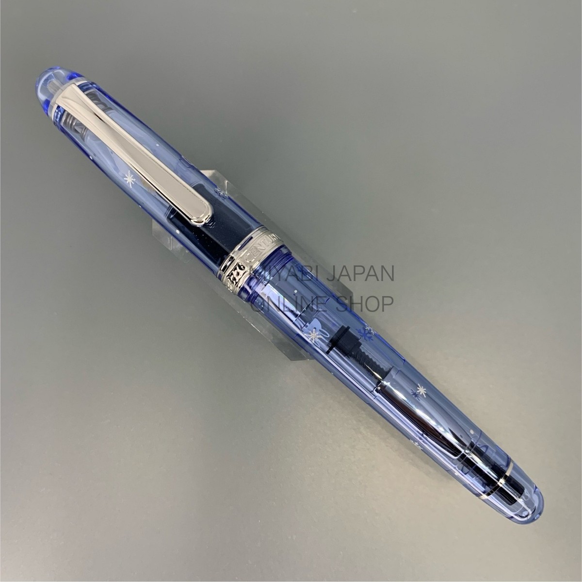 PLATINUM #3776 Century PLAYING IN THE SNOW 14K Medium Nib Limited