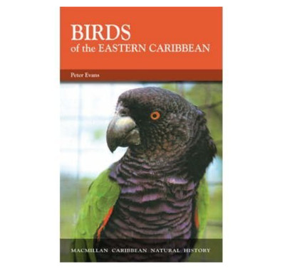 Birds of the Eastern Caribbean Paperback Peter Evans 0333521552 MacMillan Nature