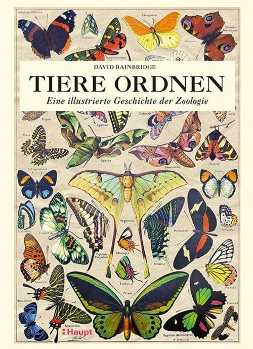 Thumbnail - Tiere Ordnen David Bainbridge