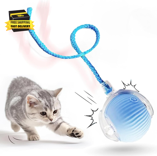 Interactive Cat Toy Ball for Indoor Cats, 2025 New Fast Self Rolling Ball Cat To