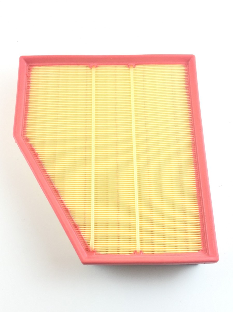 MANN-FILTER Luftfilter Motor Air Filter C 31 1256/2