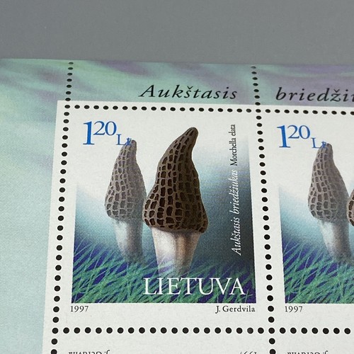 Lietuva Lithuania Stamps 1997 Mushrooms Blocks and FDC - Picture 9 of 15