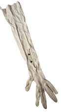 Vintage Off White Long Evening Glove with Wrist Snaps 19 1/4"