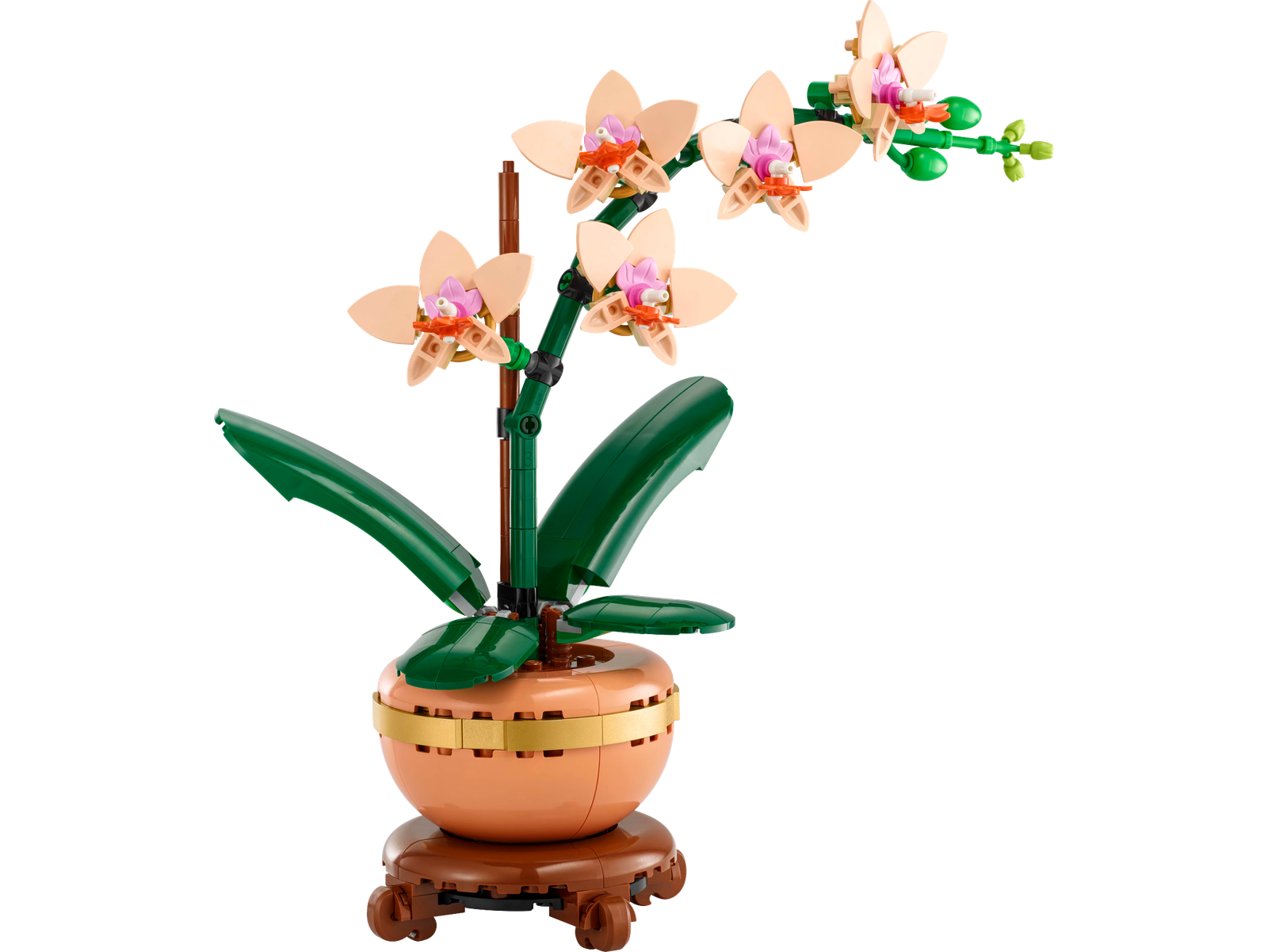 LEGO Botanicals 10343 Mini-orchidea - Immagine 7