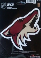 Arizona Coyotes 5