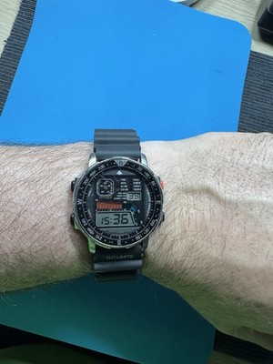 Citizen D060 Windsurfing Promaster Vintage
