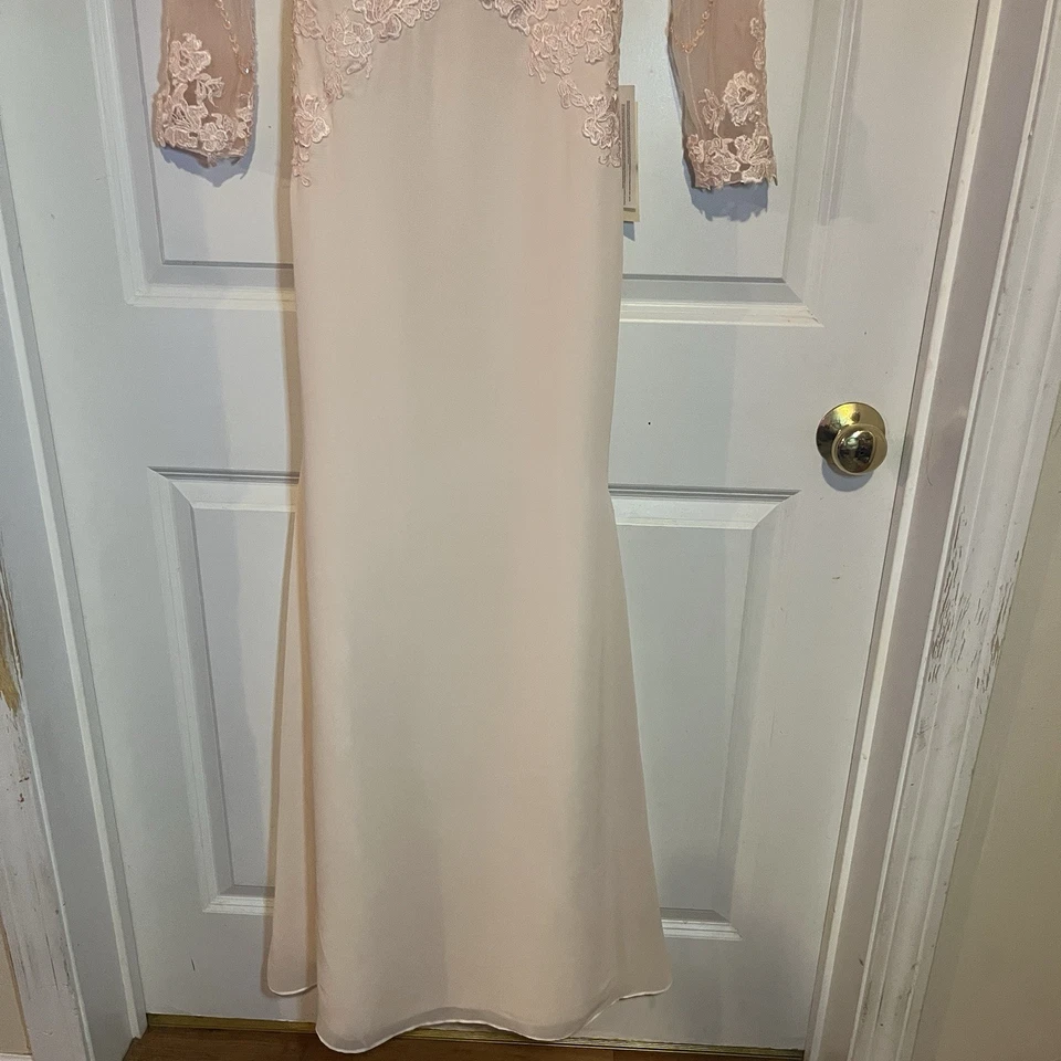 Vestido T.S Couture Rosa/Beige Línea A Transparente Manga Larga Con Apliques Florales Foto 3 de 4