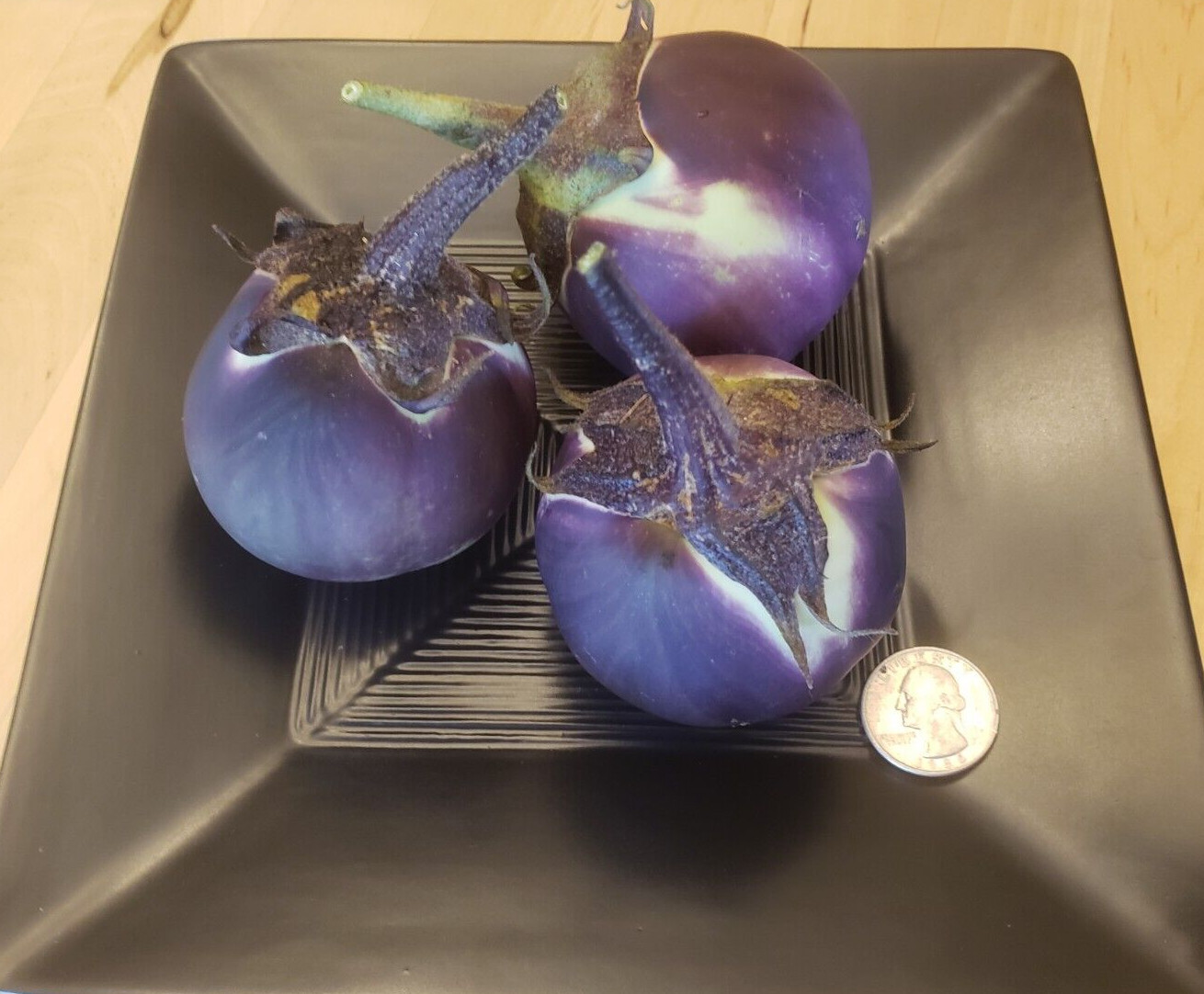 Kamo Japanese Eggplant (25 seeds) Great Flavor! Fresh for 2024