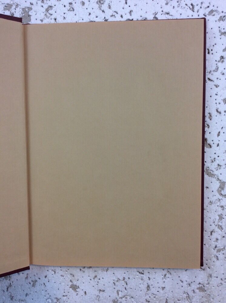 Foto 6 di 12