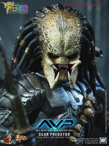 Perfect Hot Toys 1/6 Mms190 Avp Scar Predator 2.0 In Stock New - Picture 3 of 7