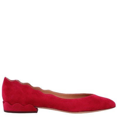 Chloe Lauren Scalloped Suede Ballerinas