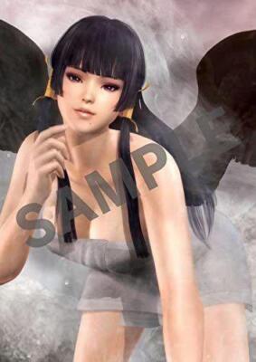 Dead Or Alive5 Last Round Ps4 8 Types Of Bath Posters | eBay