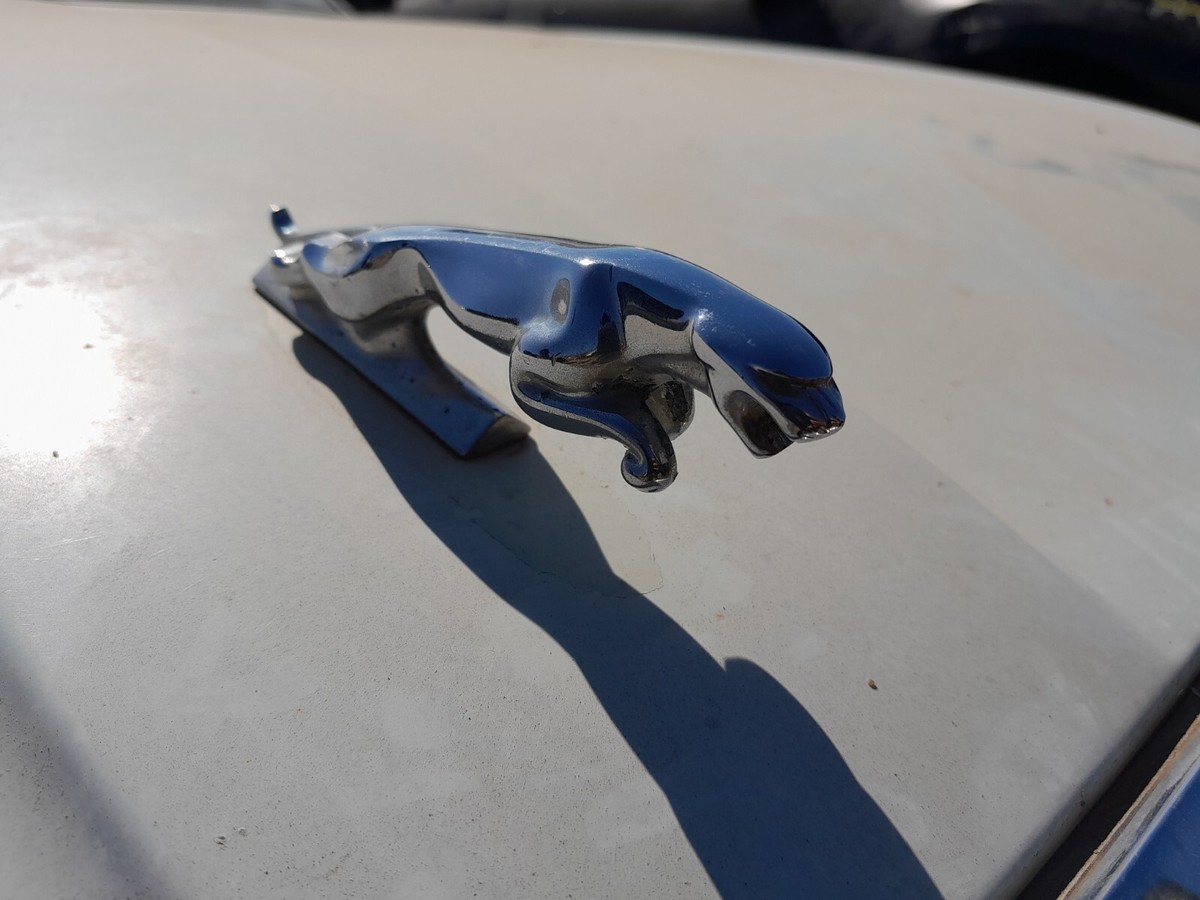 1970-1994 Jaguar XJ6 Vintage Leaper Cat Chrome Hood Ornament