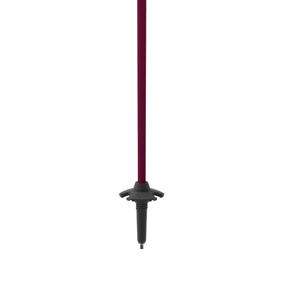Fischer One Way GT 13 Comp Mag Alpine Ski Poles, Grey/Blackberry