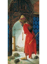 Perre Group Turtle Trainer Jigsaw Puzzle (1500-Piece), Multicolor (PER3755)