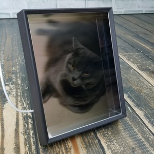 Looking Glass Portrait | eBay