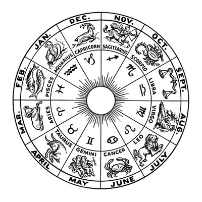 Zodiac Wheel Diagram Chart Astronomy Astrology Poster Print PICK SIZE