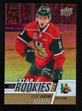 2017-18 Upper Deck CHL Star Rookies Rainbow Filip Zadina #345 1qc