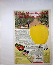 Original 1929 Vintage print AD: Stark Bro's Nurseries. #Household collectives