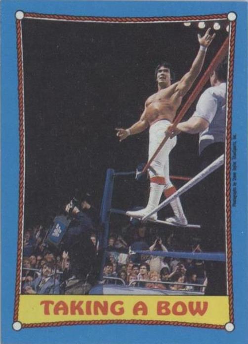 1987 Topps WWF - Ricky "The Dragon" Steamboat #65 - 1 of 1