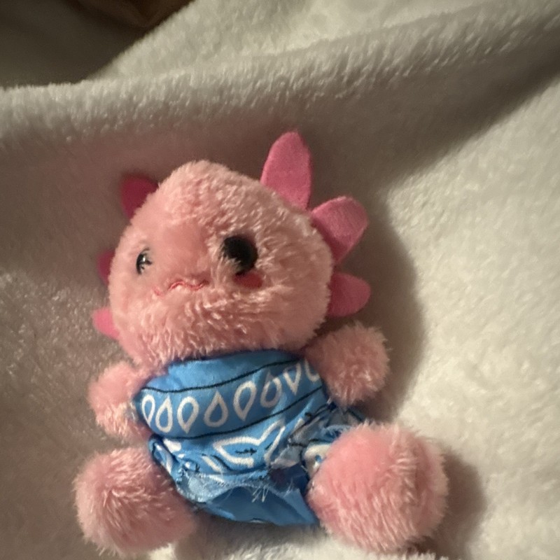 Pink axolotl,Mini Plush Stuffed Animal w/ Blue Bandana Outfit, Ages 3-15