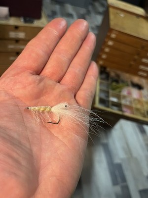 1 St PATTEGRISEN MEERFORELLE Fliegenfischen Fliegenrute Orvis Hardy Sage Fliege