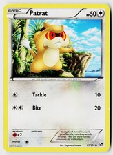 Patrat 77/114 Common Black & White Pokemon Heavily Played