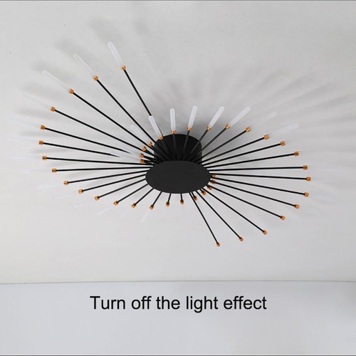 Indoor Decorative Ceiling Lighting,Ceiling Lights with Remote Control,For Study