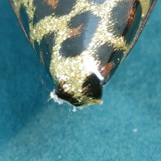 Picture 7 of 11